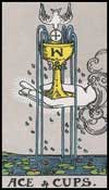 聖杯の1（カップのエース）
