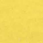 愚者（フール）のメインカラー