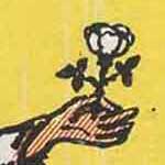 愚者（フール）の動植