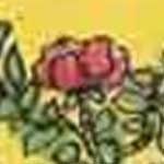 魔術師（マジシャン）の植物