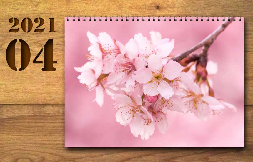2021年4月の運勢カレンダー（星座占い・宿曜・六曜）
