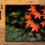 2021年11月の運勢カレンダー（星座占い・宿曜・六曜）