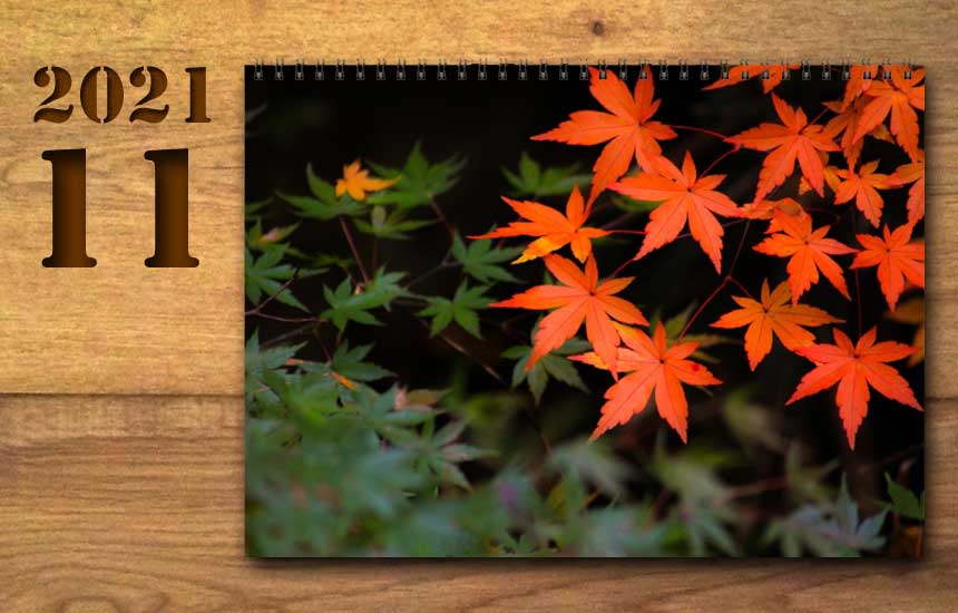 2021年11月の運勢カレンダー（星座占い・宿曜・六曜）